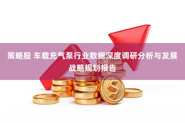 策略股 车载充气泵行业数据深度调研分析与发展战略规划报告